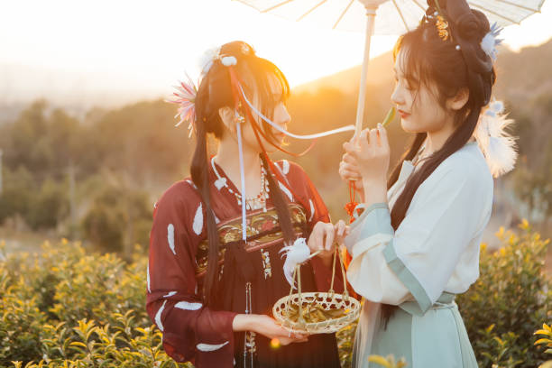 Two beauties are picking tea and having fun in the tea mountain at sunset Two beauties are picking tea and having fun in the tea mountain at sunset asian beauties stock pictures, royalty-free photos & images
