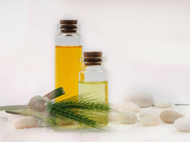 two bottles of cosmetic oil on a white background next to pebbles. the concept of health, Spa. Essential Oil on White Background, stock photo