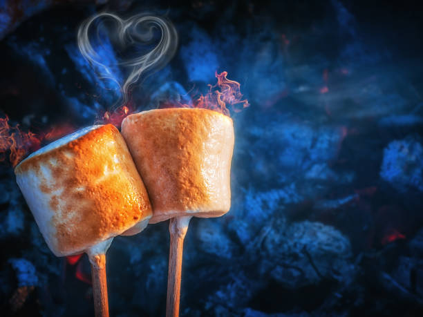 Two brown sweet marshmallows roasting over fire flames. Smoke in form of hearts. Marshmallow on skewers roasted on charcoals Two brown sweet marshmallows roasting over fire flames. Smoke in form of hearts. Marshmallow on skewers roasted on charcoals. Sweet love concept toasted food stock pictures, royalty-free photos & images