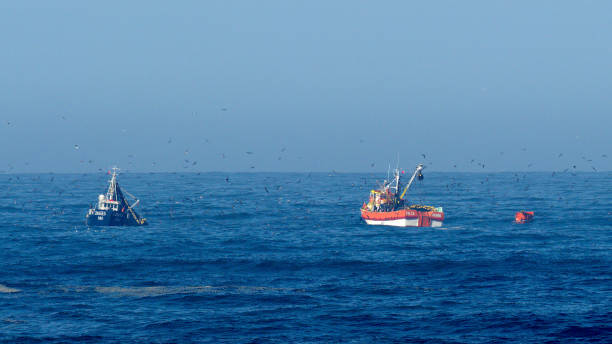 Two Chilean seine-net fishing boats in the Pacific Ocean stock photo