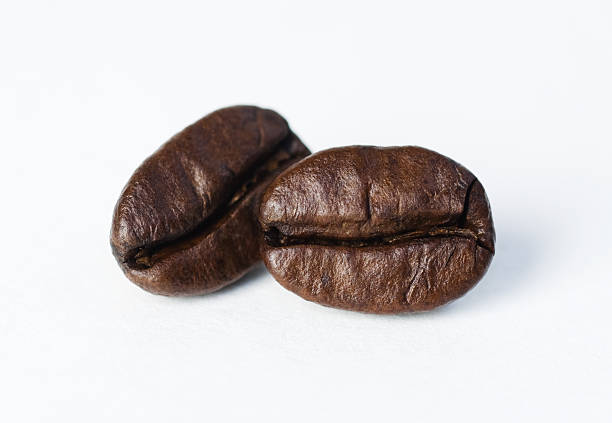 Two Coffee Beans stock photo