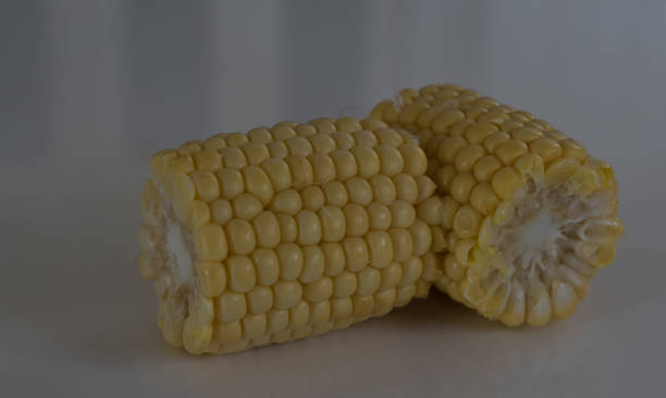 two corn cobettes on a white plate stock photo