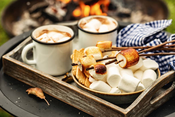 two cup of cocoa or hot chocolate and skewers of roasted marshmallows over campfire. autumn holidays outdoors treats stock photo