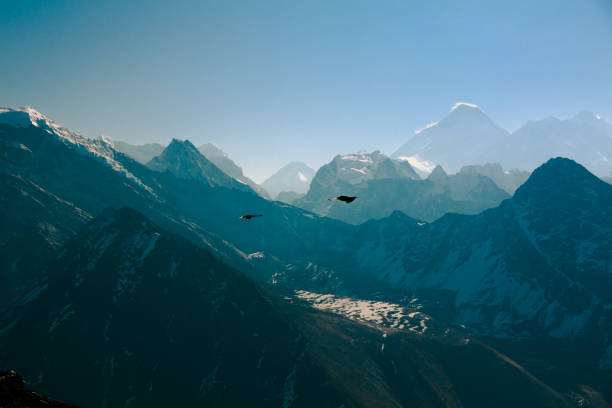 Two Explorers:  Ravens fly ahead up valley toward Mount Everest stock photo