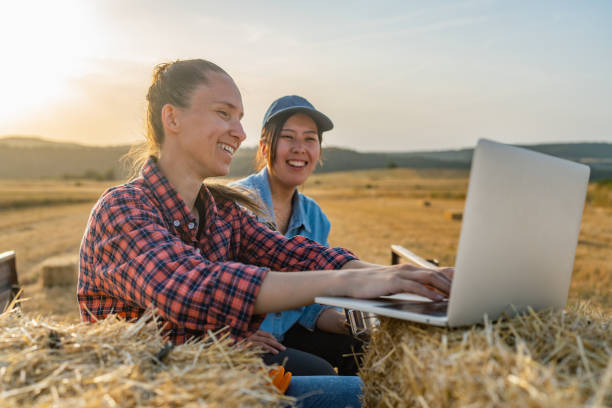 Two female farmers sitting on tractor trailer on haystacks and working on laptop together stock photo