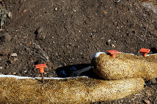 Two fiber rolls in work keeping black dirt from eroding Construction materials are being saved from running off by using an erosion control device, known as a fiber roll.  The fiber roll packs straw into a mesh bag, which is held into place with metal stakes.  The black soil is being used on a construction site. erosion control stock pictures, royalty-free photos & images