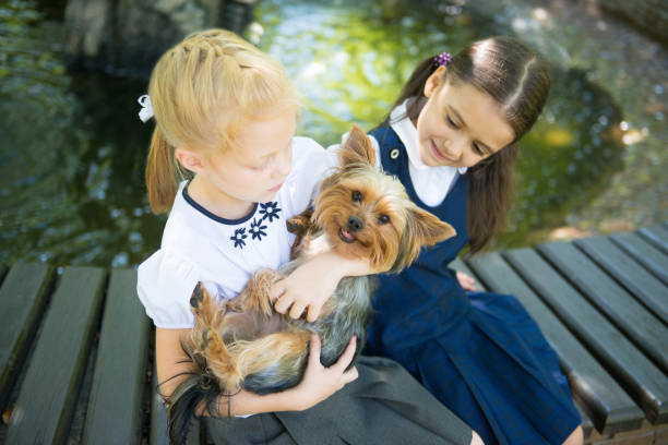 Two girls playing with a dog Two girls playing with a dog beautiful young brunette girl playing with her dog stock pictures, royalty-free photos & images