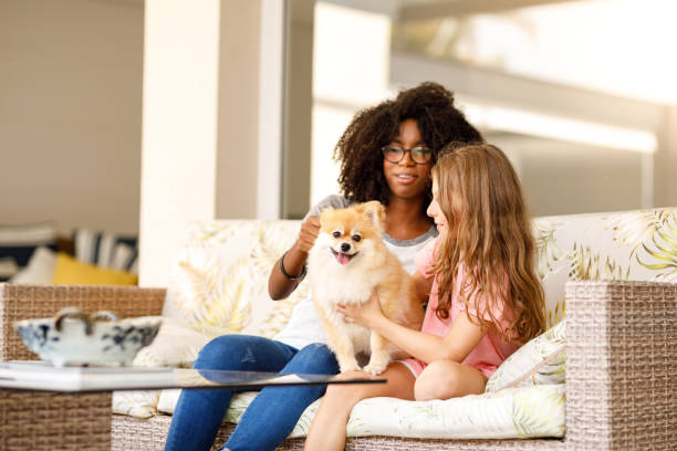 Two girls with a small dog on sofa Cute girl playing with her dog. beautiful young brunette girl playing with her dog stock pictures, royalty-free photos & images