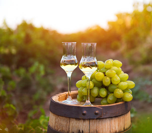 Two glasses of liquor or grappa with grapes stock photo