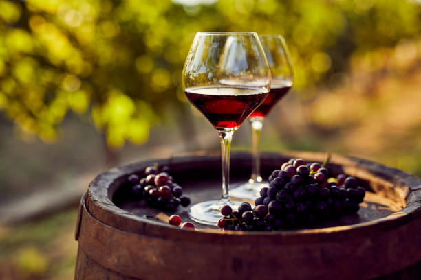 Two glasses of red wine in the vineyard Two glasses of red wine on a wooden barrel in the vineyard vineyard stock pictures, royalty-free photos & images
