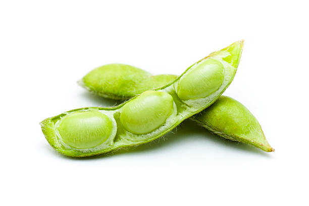 Two green soybeans on a white background stock photo