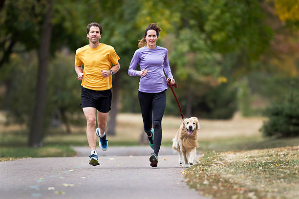 Two joggers and a golden retriever running on a paved trail stock photo