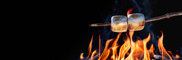 Two Marshmallows Banner Of Two Marshmallows On A Stick Roasting Over Campfire On Black Background - Camping/Summer Fun Concept Campfire stock pictures, royalty-free photos & images