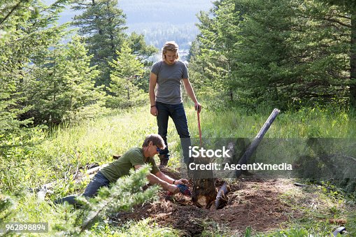 istock Two men dig out tree stump in forest 962898894