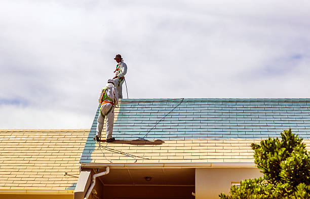 Two men painting a roof of a house stock photo
