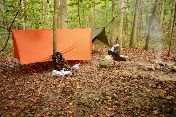 Two modern camping hammocks in woods with tarps stock photo