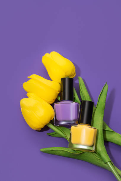 Two nail polish bottles: purple and yellow with yellow tulip flowers on purple background. Nail polish bottles with yellow tulips on purple background stock photo