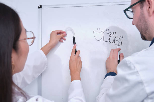 Two odontologist researchers studying dental anatomy on a whiteboard. stock photo
