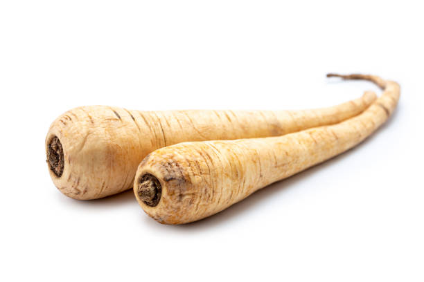 Two Parsnips on white background stock photo