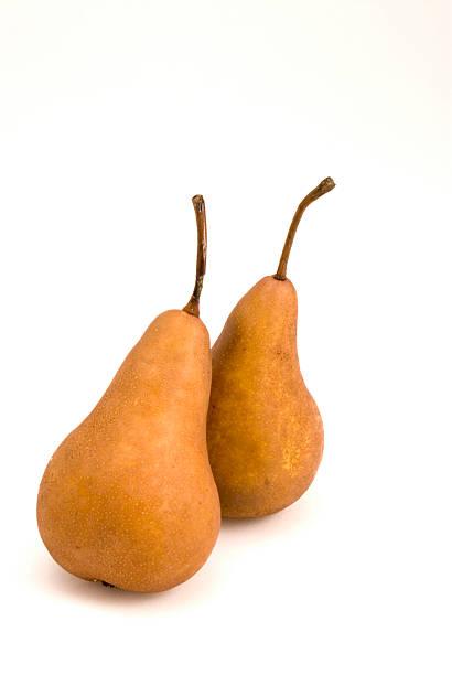 Two Pears Resting stock photo