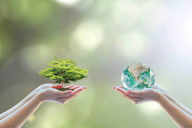 two people human hands holding/ saving growing big tree on soil eco bio globe in clean csr esg natural sunlight background world environment day go green concept element of the image furnished by nasa - resistência imagens e fotografias de stock