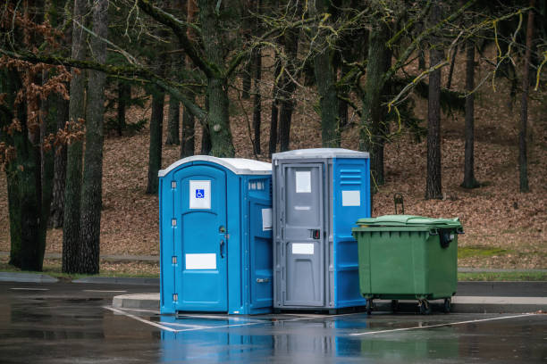 Two portable toilets in a park. One of them for disabled stock photo