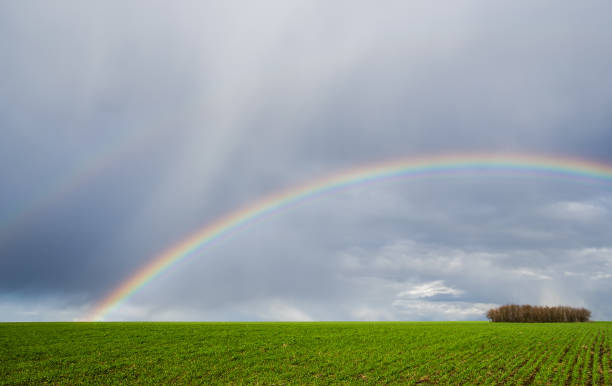 two rainbows over green agriculture field