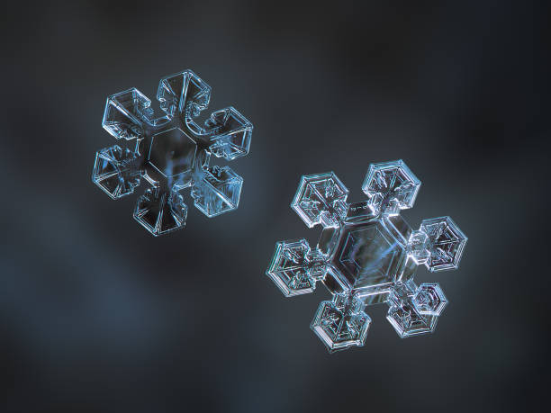 Two real snowflakes glowing on dark blur background stock photo