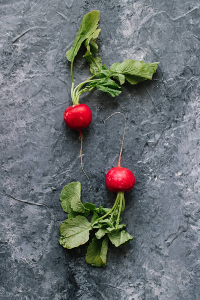 Two red radish stock photo
