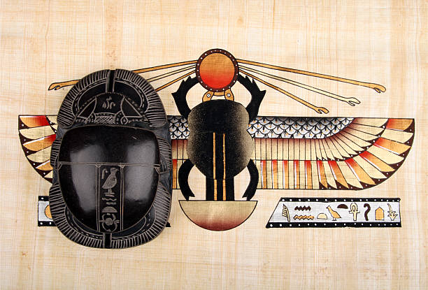 Two scarab stock photo