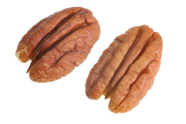 Two unshelled pecans on white background pecan nuts isolated on white pecan stock pictures, royalty-free photos & images