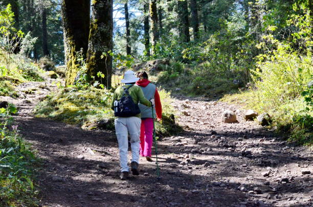 Two women hiking to the Sierra Chincua Monarch Butterfly Sanctuary stock photo