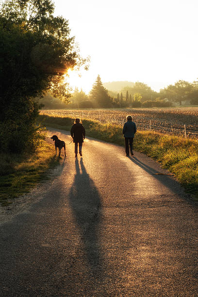 two women walking a dog at sunrise two women walking a dog at sunrise early morning dog walk stock pictures, royalty-free photos & images