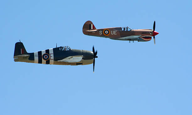 Two WWII Fighters P-40 Warhawk and F-6 Hellcat flying in formation.WWII aircraft in my portfolio(click image to view) ww2 american fighter planes stock pictures, royalty-free photos & images
