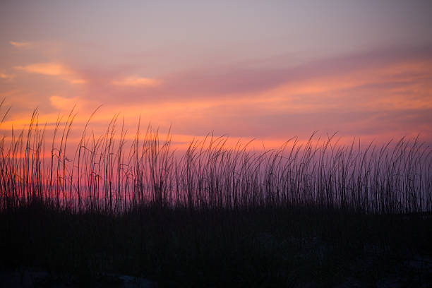 Tybee Island Sunset stock photo