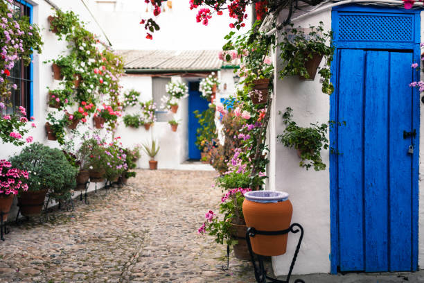 Typical andalusian courtyard in Cordoba, Andalusia Spain with blue doors and a lot of plants Typical andalusian courtyard in Cordoba, Andalusia Spain with blue doors and a lot of plants cordoba spain stock pictures, royalty-free photos & images