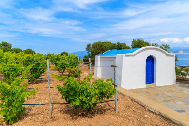 Typical Greek white church building in vineyards, Ampelas village, Paros island, Greece stock photo