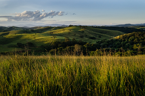 Typical rural landscape of southeastern Brazil (Minas Gerais)