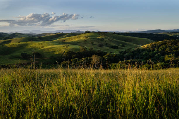typisch landelijk landschap van zuidoostelijk brazilië - lowlands stockfoto's en -beelden