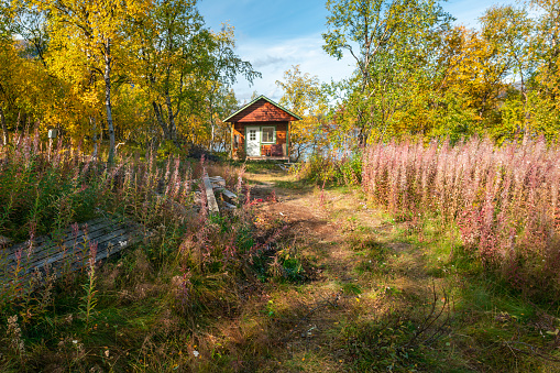 Typical small red wooden cabin in a forest in Saltoluokta, Sweden. Beautiful sunny day of autumn in remote Swedish arctic. Vivid autum colors