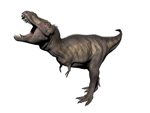 Tyrannosaurus Dinosaur 3d Render Stock Photo - Download Image Now - iStock
