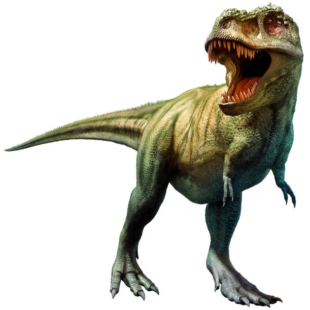 Tyrannosaurus rex dinosaur from the Cretaceous era 3D illustration stock photo