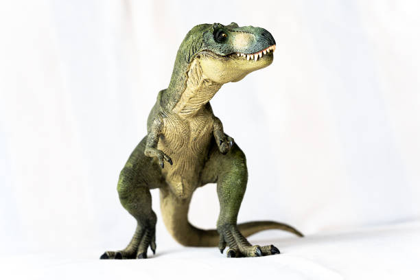 Tyrannosaurus Rex stock photo