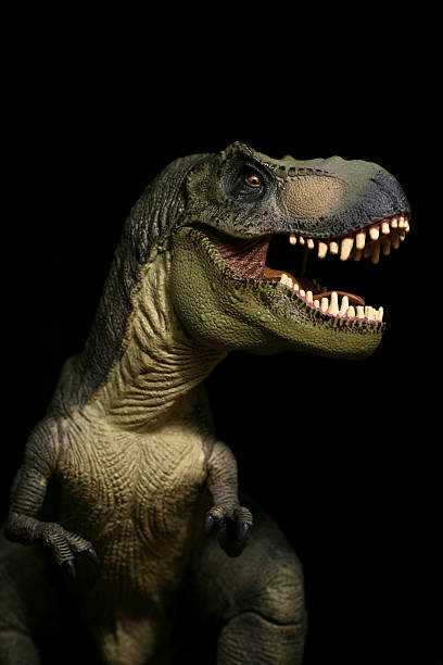 Tyrannosaurus Rex plastic model portrait roaring stock photo
