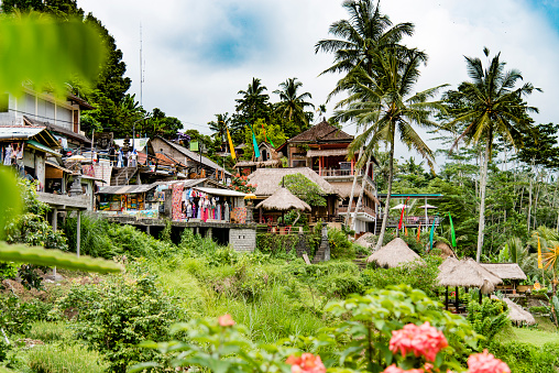 Ubud Village Stock Photo Download Image Now iStock Ubud Village Stock Photo Download Image Now iStock