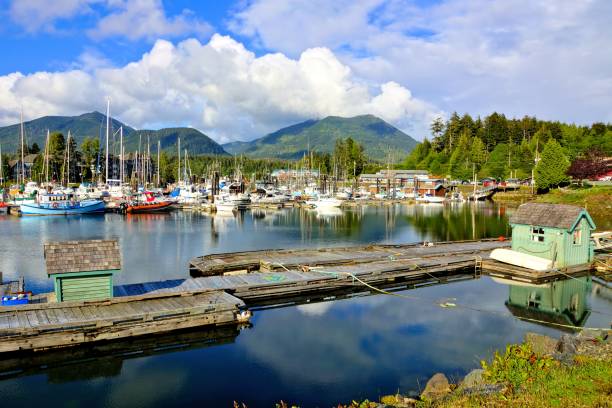 Ucluelet Harbour, Vancouver Island, BC, Canada stock photo