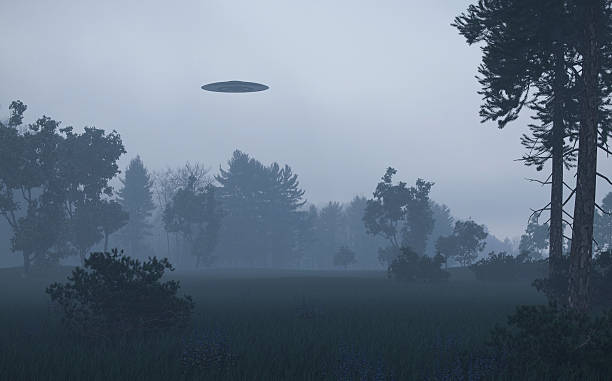 Ufo over trees Ufo over trees ufo stock pictures, royalty-free photos & images