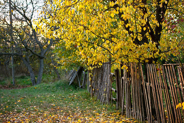 Ukrainian Countryside, fall stock photo