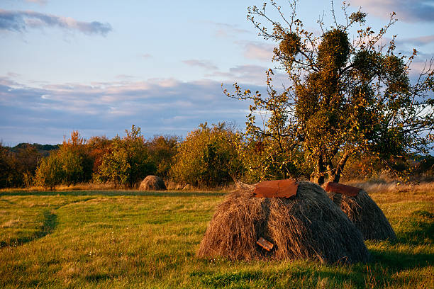 Ukrainian Countryside Landscape stock photo