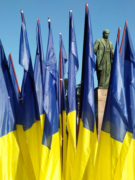 украинские флаги в солнечный день, киев, украина - shevchenko стоковые фото и изображения